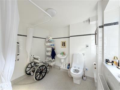 Picture 7